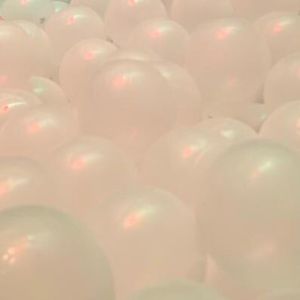 Meet your Posher, Shylynn